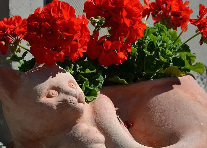 Apartamento Maurer *